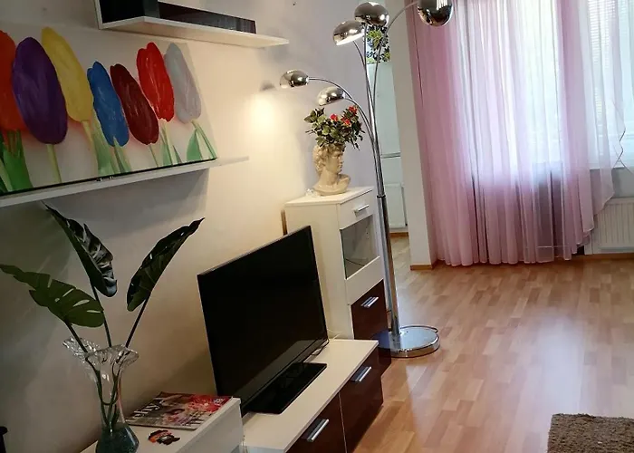 아파트 Asunto 키티